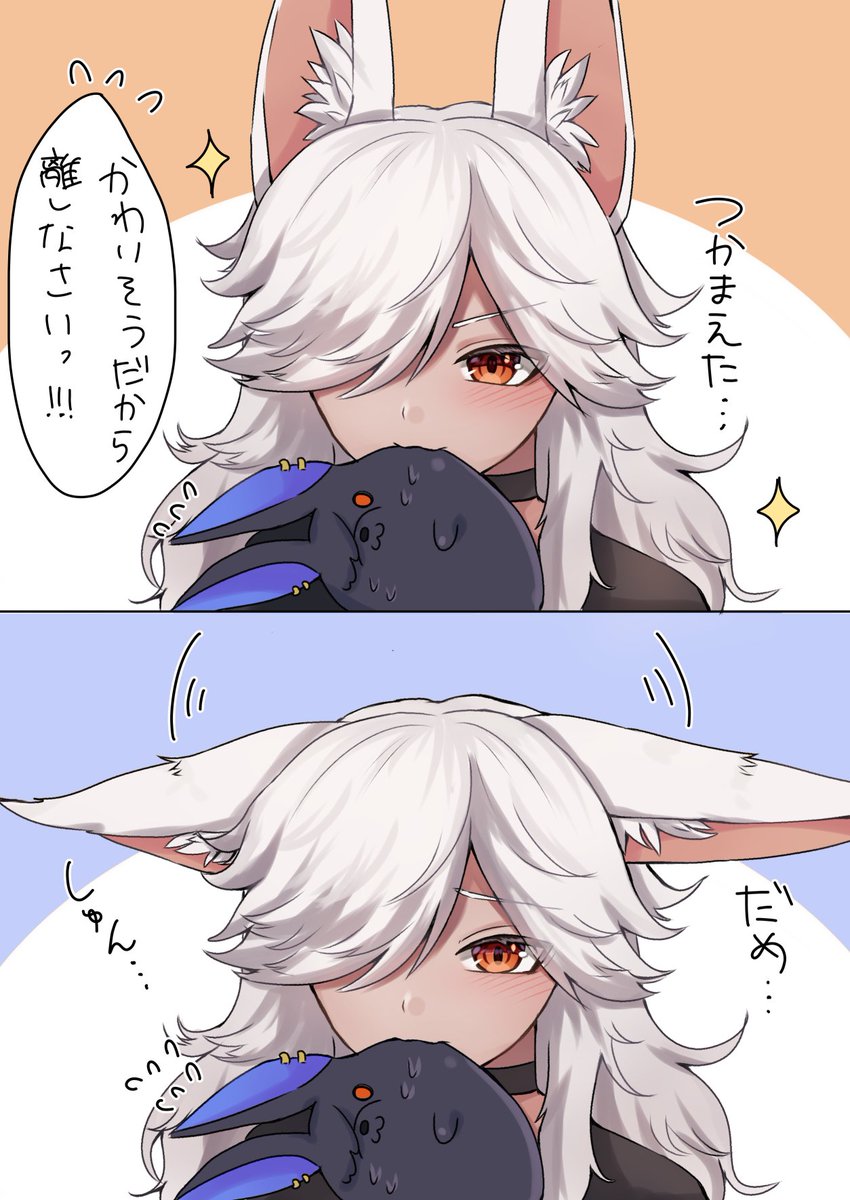 たまこ tweet media