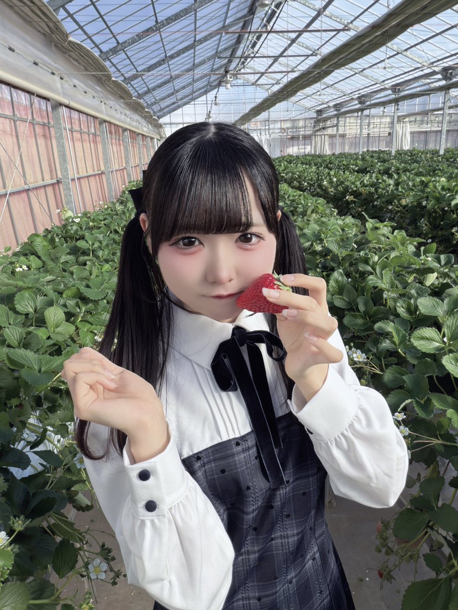 儚寧この【iON!】 (@iON_kono_) / Posts / X