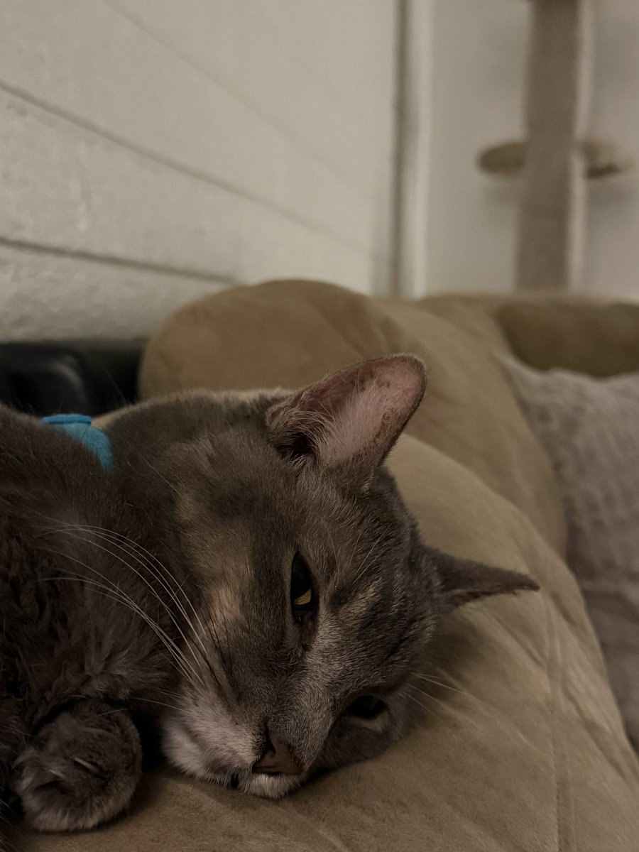 Terminal 11 tweet media