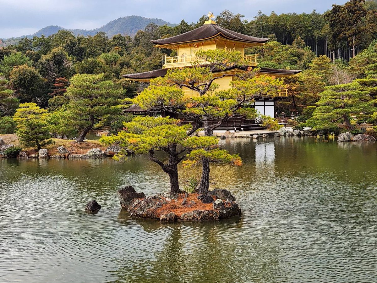 ™★☆SCARFACE☆★ tweet media