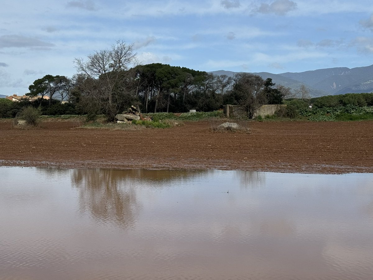 Miguel Angel Ciudad tweet media