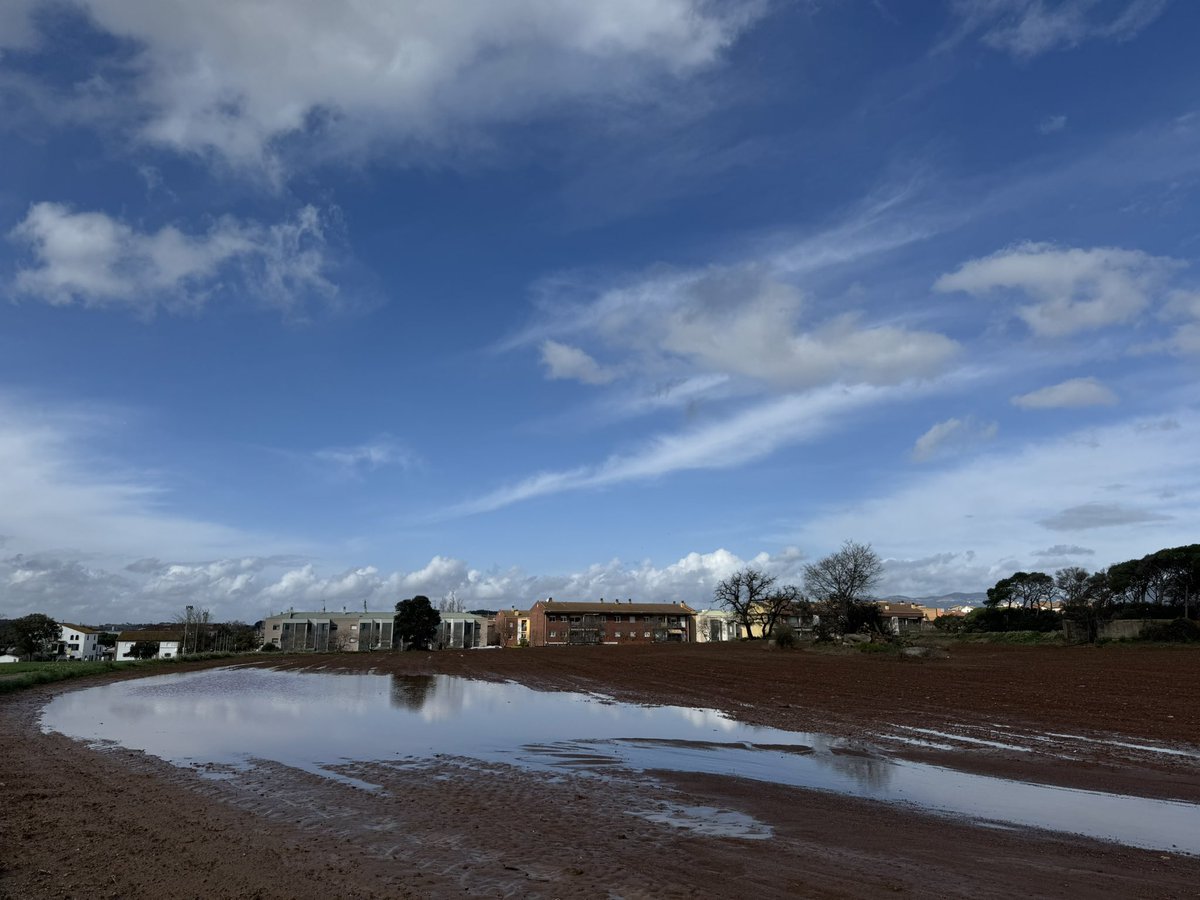 Miguel Angel Ciudad tweet media