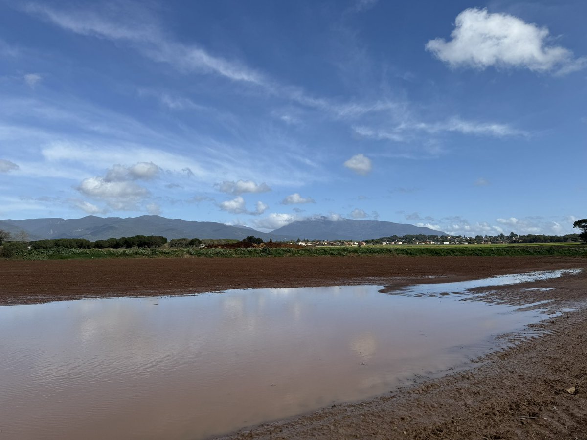 Miguel Angel Ciudad tweet media