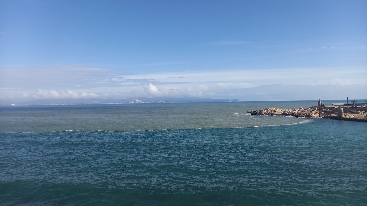 Sergi Corral Buela🐟🐙🌳🍄⚡ tweet media