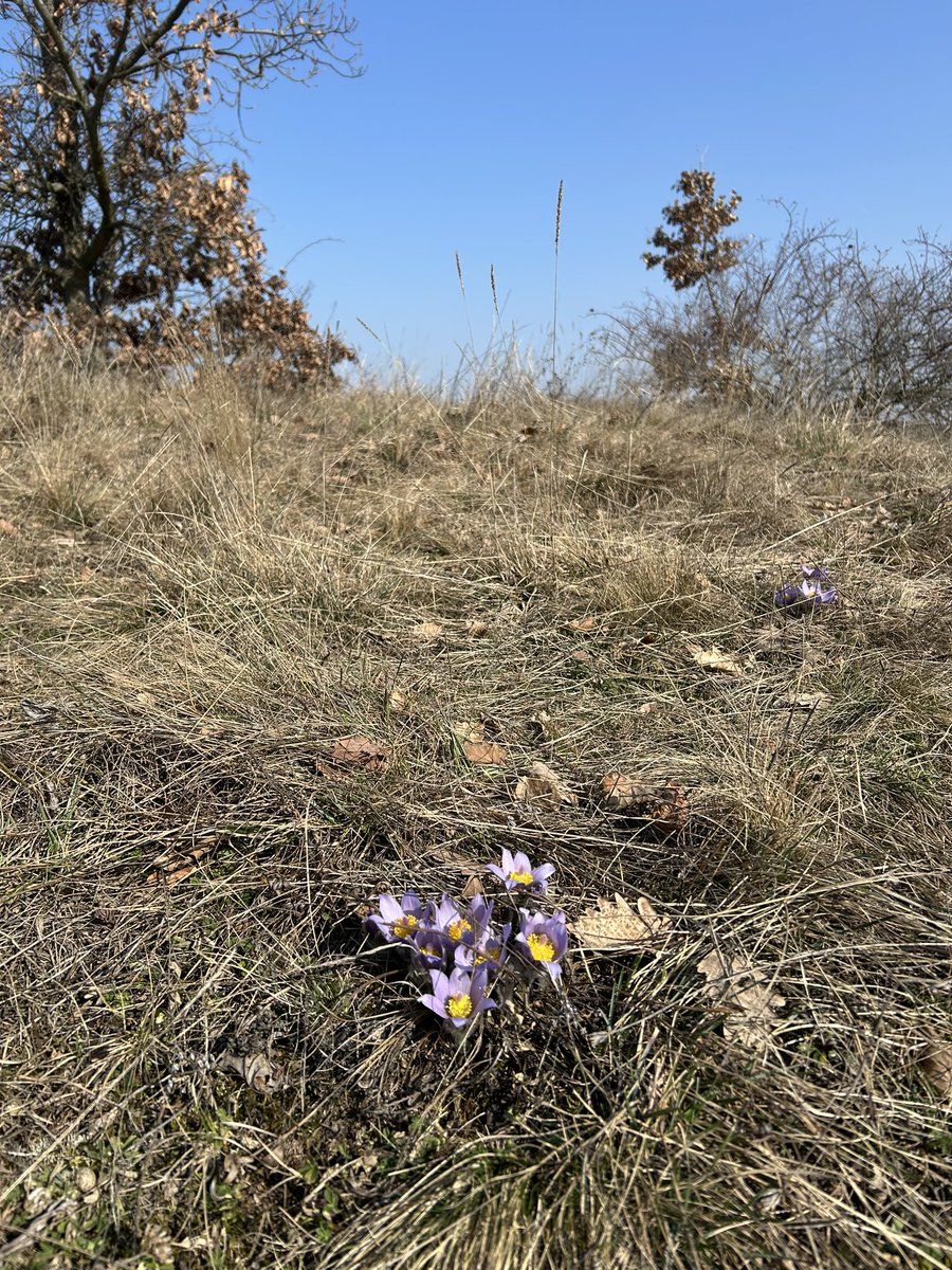 Leoš Verner tweet media
