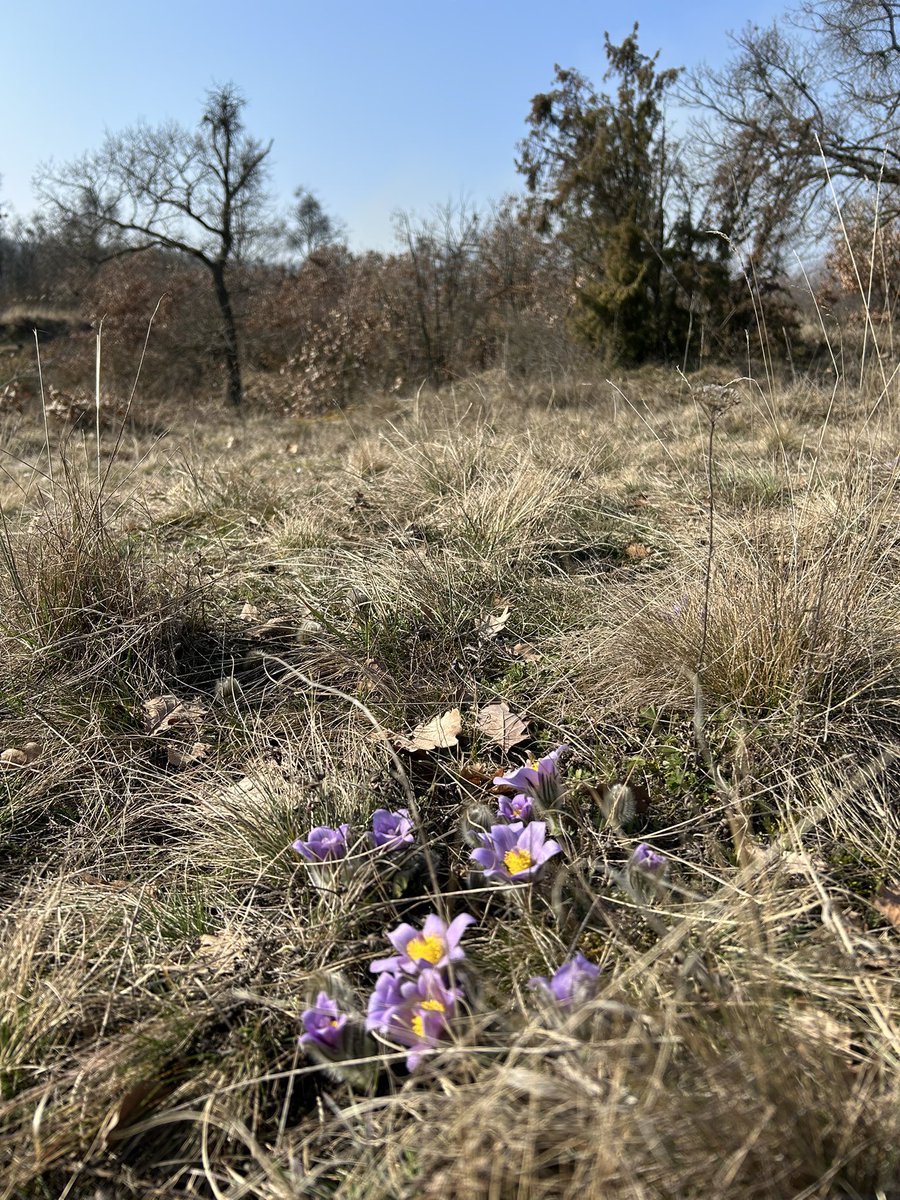 Leoš Verner tweet media