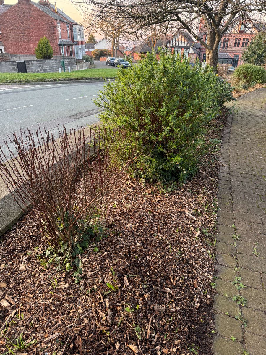 Halton Council tweet media