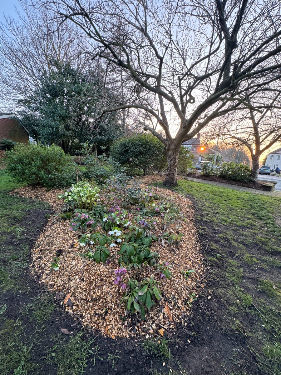 Halton Council tweet media