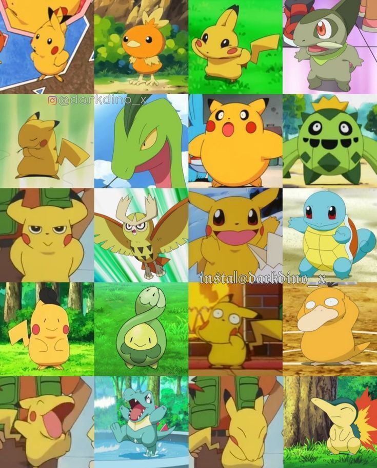 Pokémon Posts tweet media