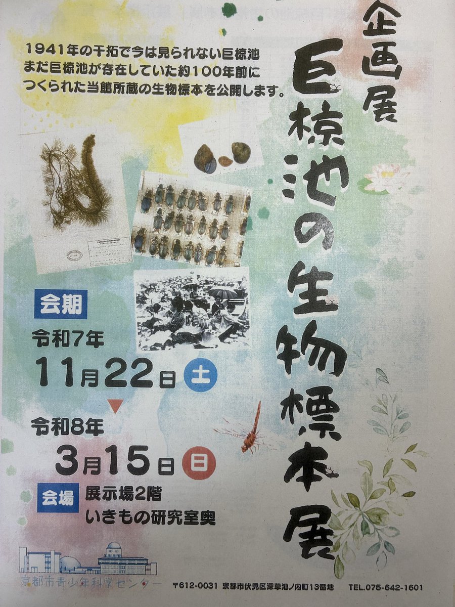 5364mst's tweet photo. 今日は京都市青少年科学センターへ標本調査、ついでに企画展「小椋池の生物標本展」を見学、なかなか見応え有り、見た事が無い植物標本や貝標本は必見だなー。15日迄ですよ。
目的のキベリマルクビゴミムシの斑紋変異が少し分かって良かった https://t.co/uxNNg1YAML