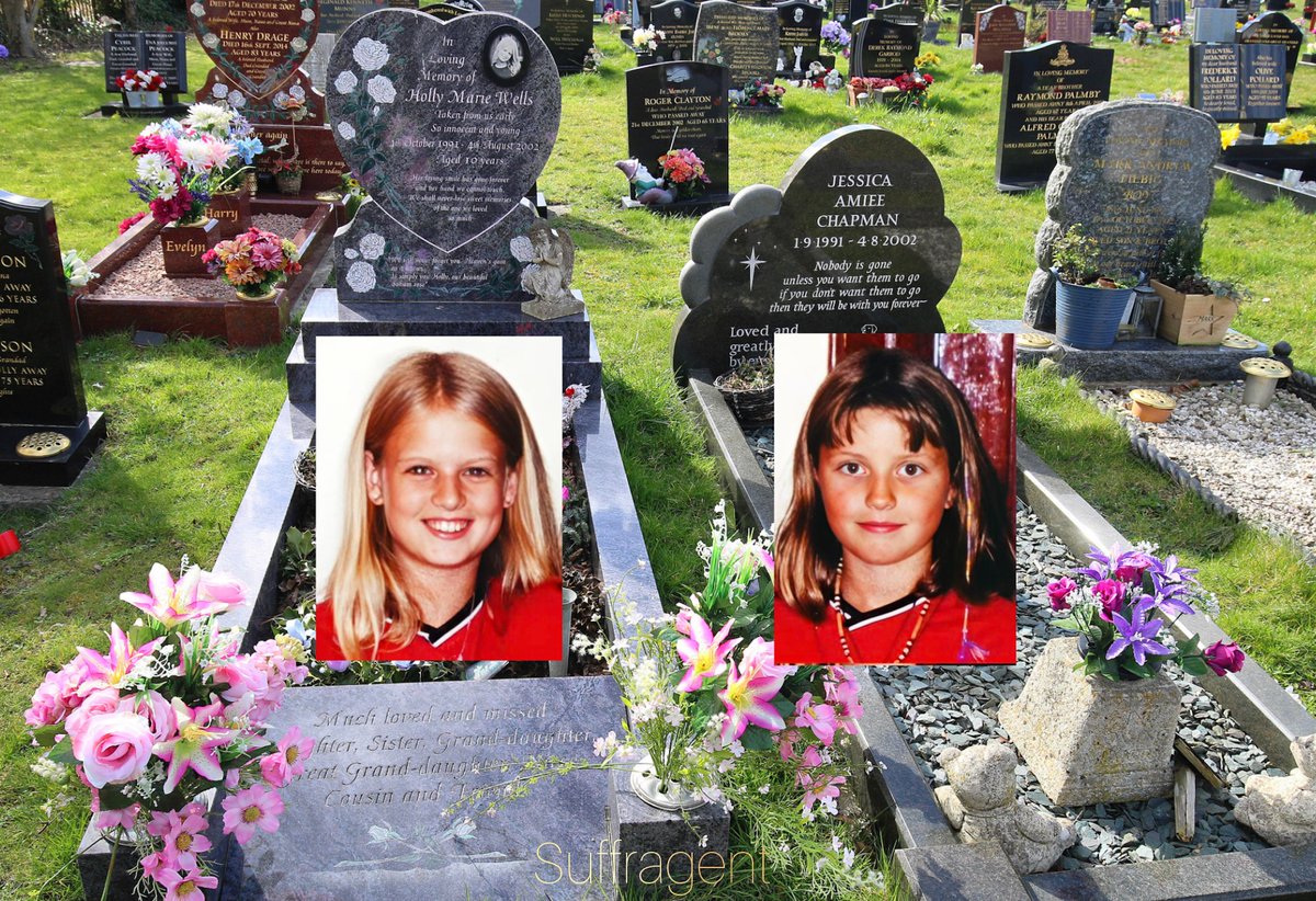 Peter Lloyd tweet media