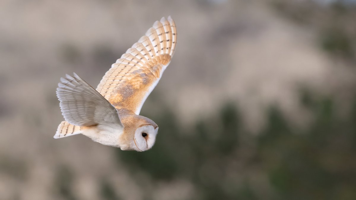 lynn & john tweet media