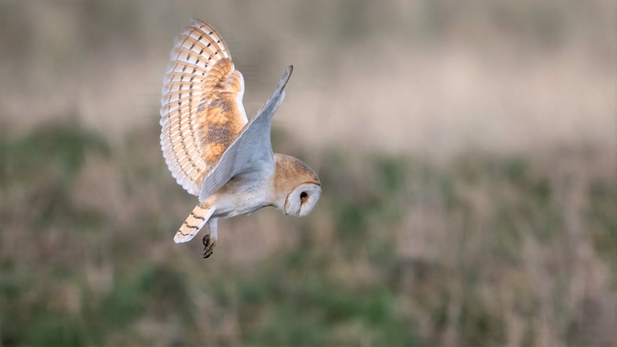 lynn & john tweet media