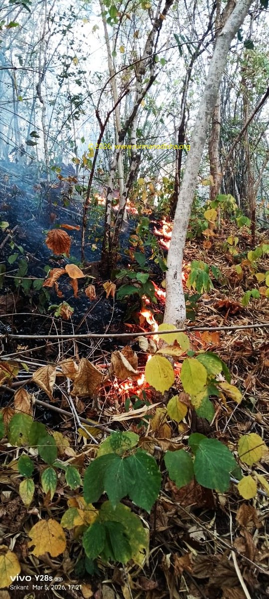 NIRMAN Odisha tweet media