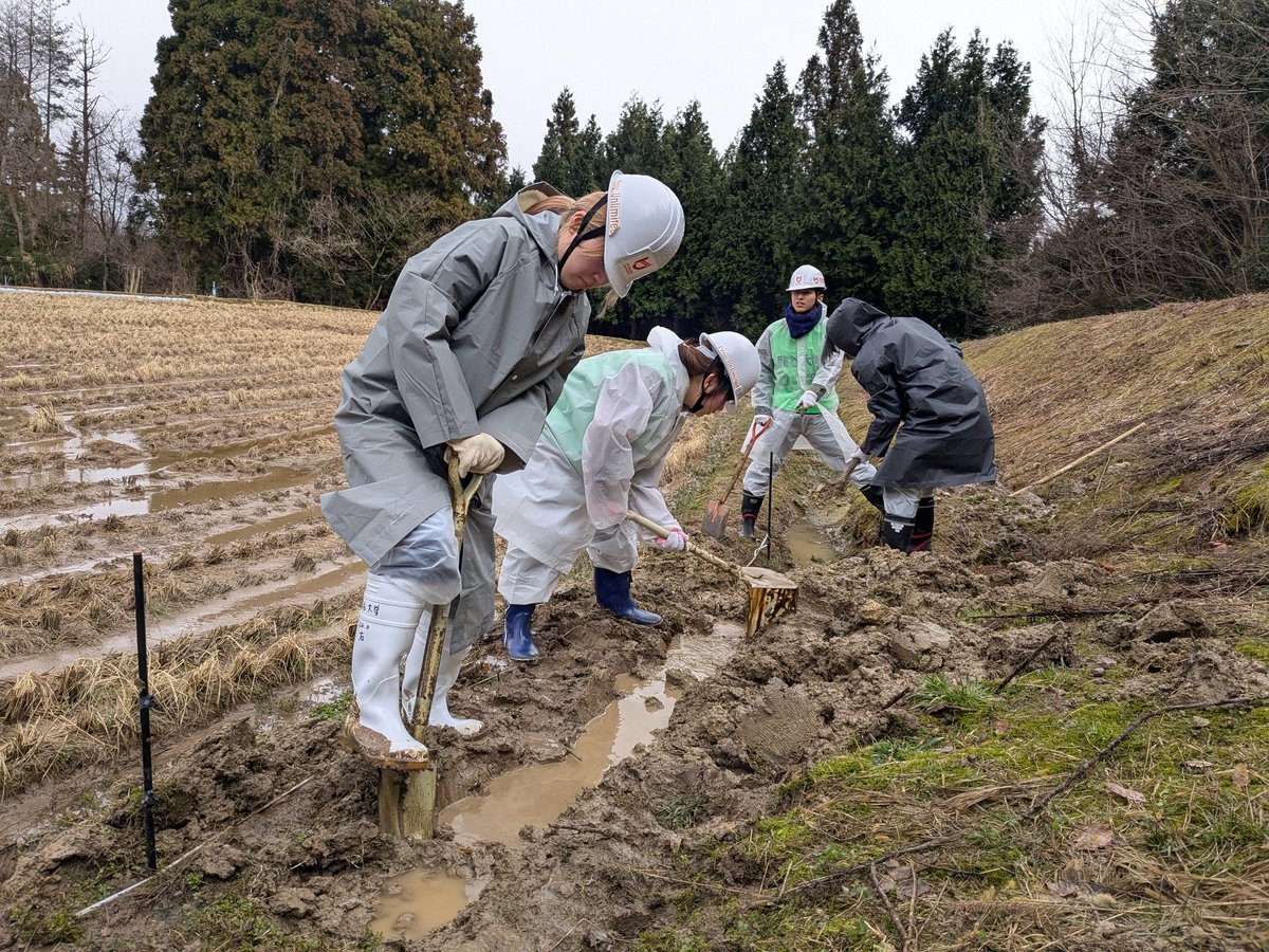 ryuvnc's tweet photo. 【令和6年能登半島地震第7回災害支援ボランティア　2日目②】
2日目の午後は田んぼの水路の泥出しをしました。
水害で埋まった田んぼの水路。田植えの前に水が通るように、雪や霰が時々降る中、みんなで掘り起こしました。 https://t.co/C9awwLjN4v
