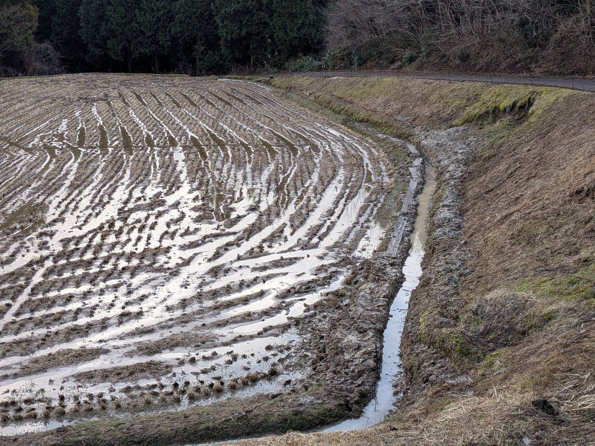 ryuvnc's tweet photo. 【令和6年能登半島地震第7回災害支援ボランティア　2日目②】
2日目の午後は田んぼの水路の泥出しをしました。
水害で埋まった田んぼの水路。田植えの前に水が通るように、雪や霰が時々降る中、みんなで掘り起こしました。 https://t.co/C9awwLjN4v