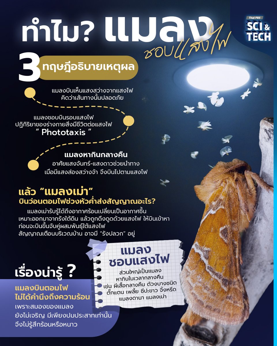 ThaiPBS Sci & Tech tweet media