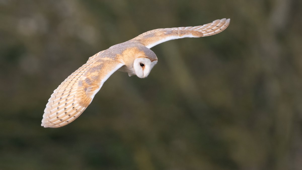 lynn & john tweet media