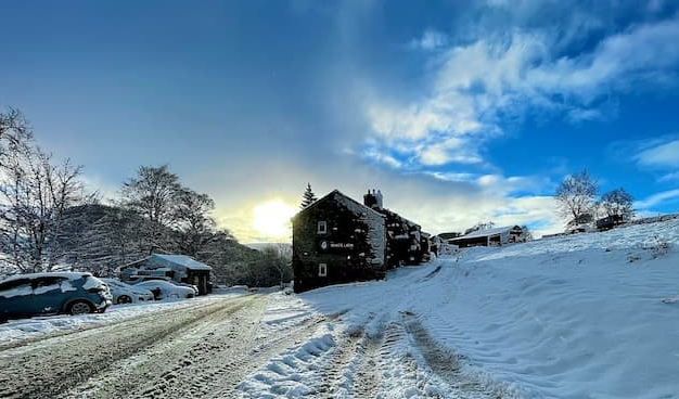 Mike Flint from the UK tweet media