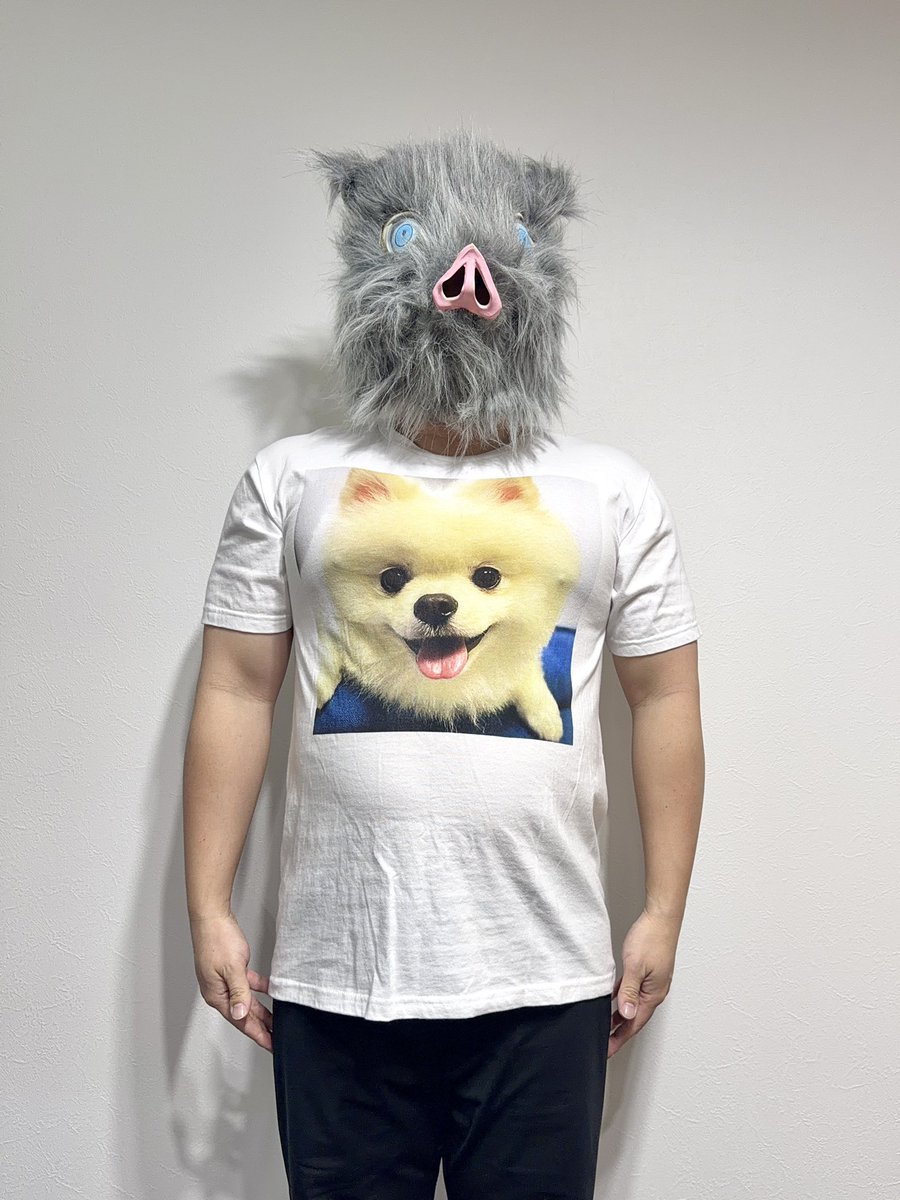 伊之助ボディになるまで毎日腹筋ローラー tweet media