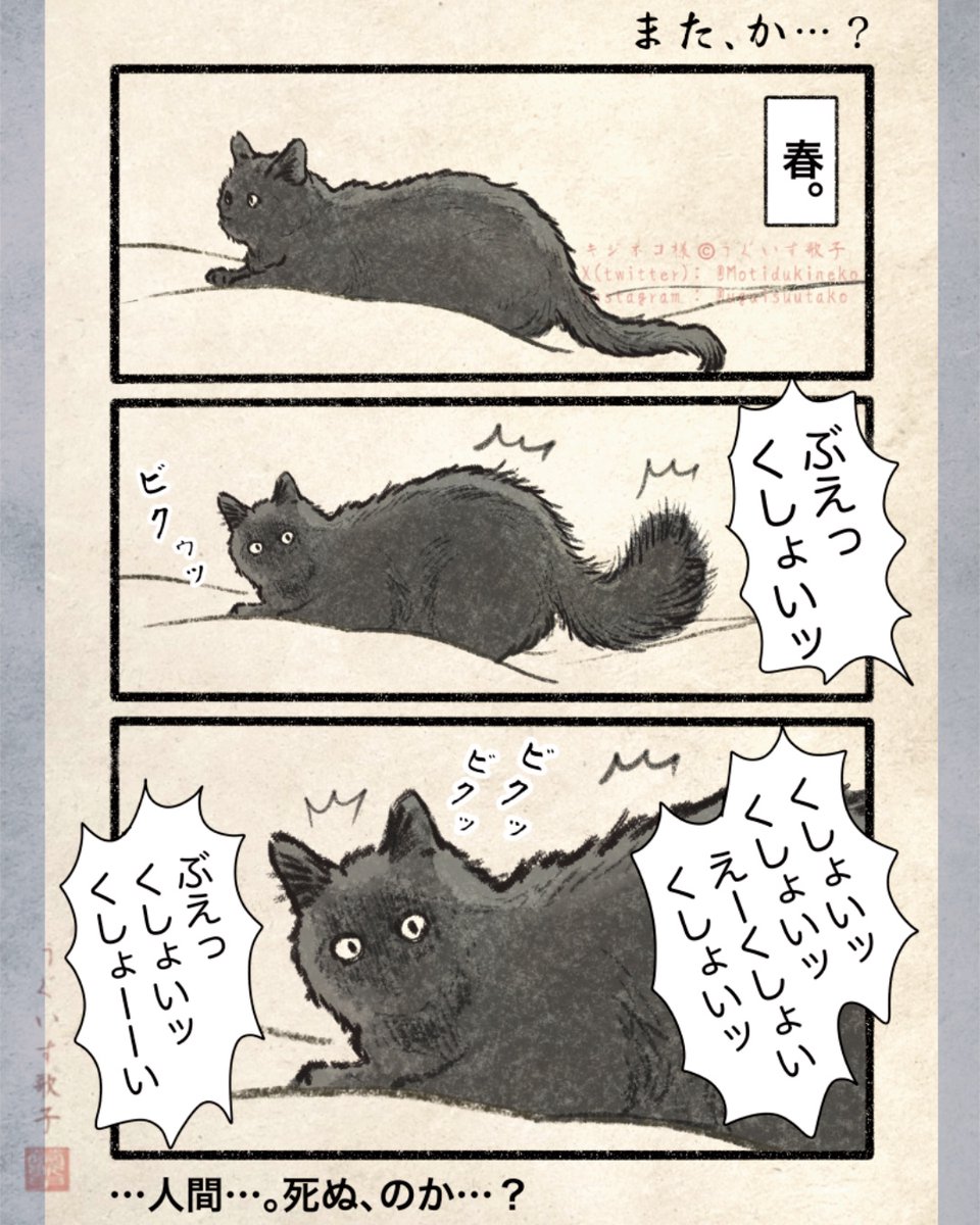 キジネコ様 tweet media