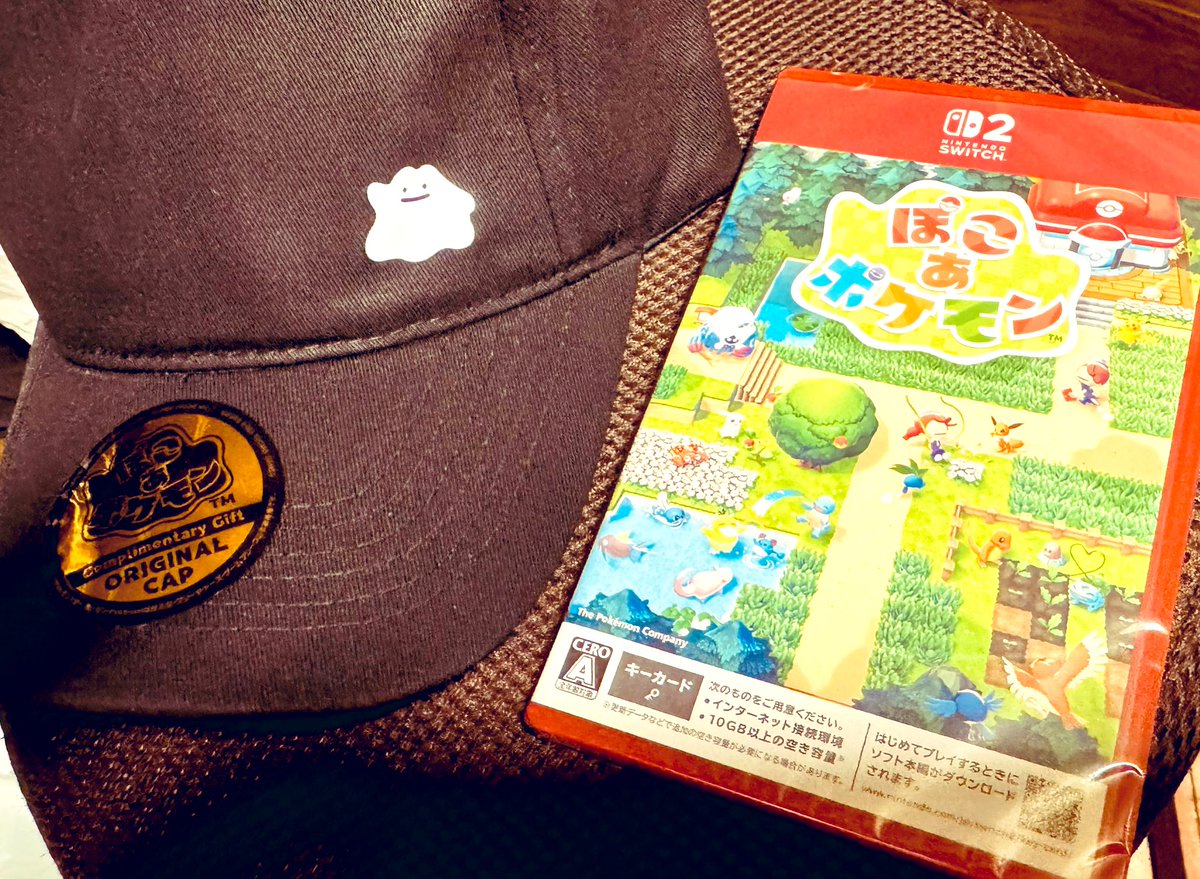 SinAStreamer's tweet photo. やっと受け取れた〜
明日やろッ！
#ぽこあポケモン https://t.co/pmRsGkD00P