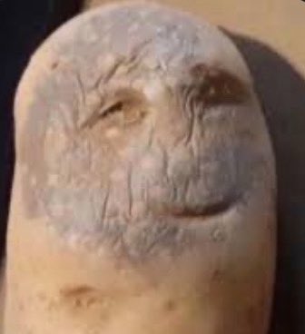 تم تعبئة الكرش