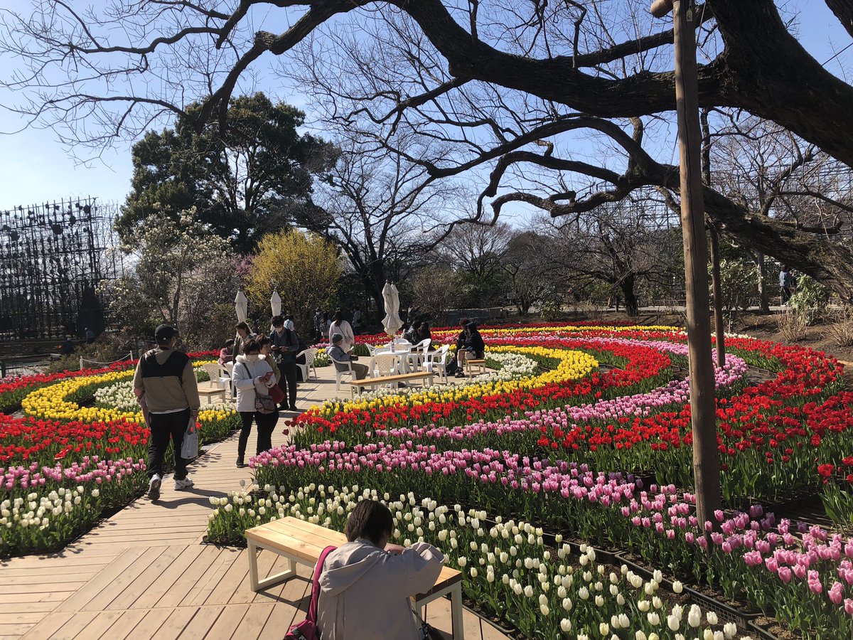 osamuan1's tweet photo. 今日はここへ出掛けました
天気は☀️
お出かけ日和

超有名な
あしかがフラワーパークへ
駐車場は満杯
家族連れも沢山
入ればチューリップが満開🌷
LINEメンバーは3.8まで
入場料は無料です

#あしかがフラワーパーク https://t.co/BUkrOqkzBA