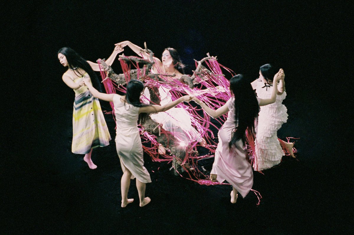 Shengzhe tweet media