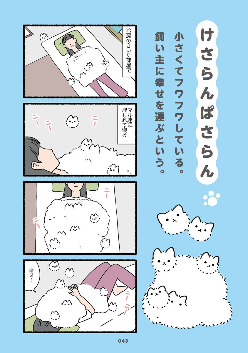 ねこようかい (3/3) 