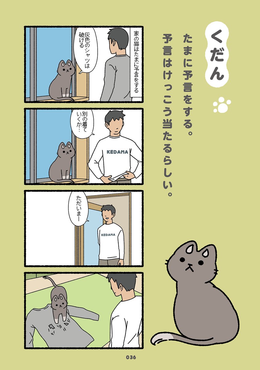 ねこようかい (3/3) 