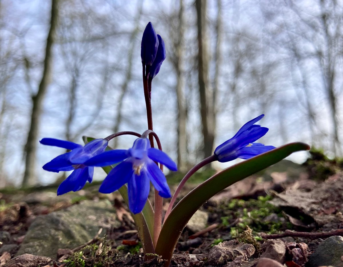 Cloudymamma tweet media