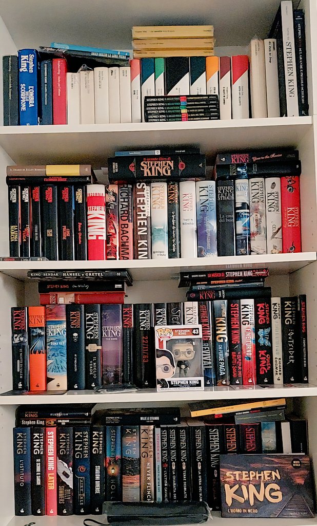 Basilio Di Iorio 📚 #follipergialli tweet media