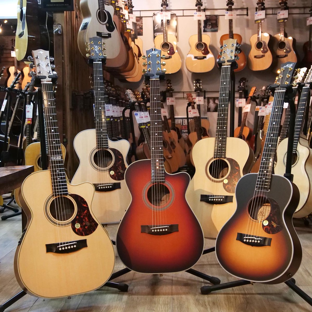 ドルフィンギターズ (@dolphingt) / Posts / X