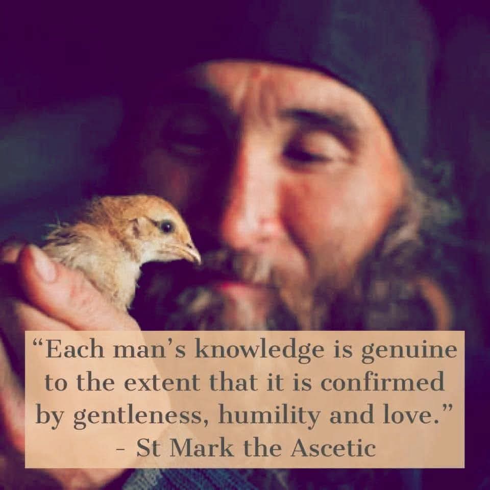 Angelina Serbska ☦️ tweet media