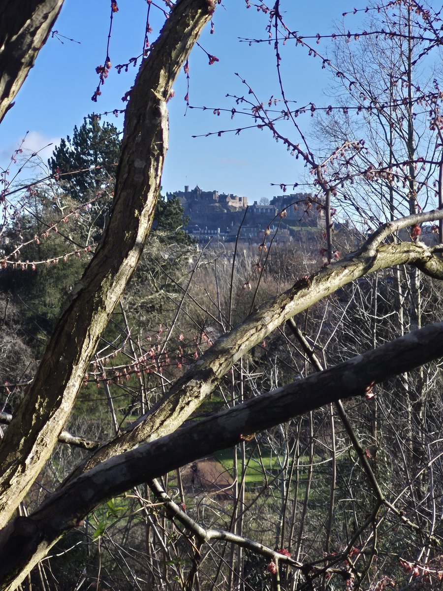 bobbyrob1974's tweet image. A brilliant day yesterday where something really positive happened for me. Finished it off perfectly with a peaceful walk through the Botanical Gardens and Stockbridge. Sometimes the simple moments are the best. 🌿☀️
#GreatDay #PositiveVibes #BotanicalGardens #Stockbridge
