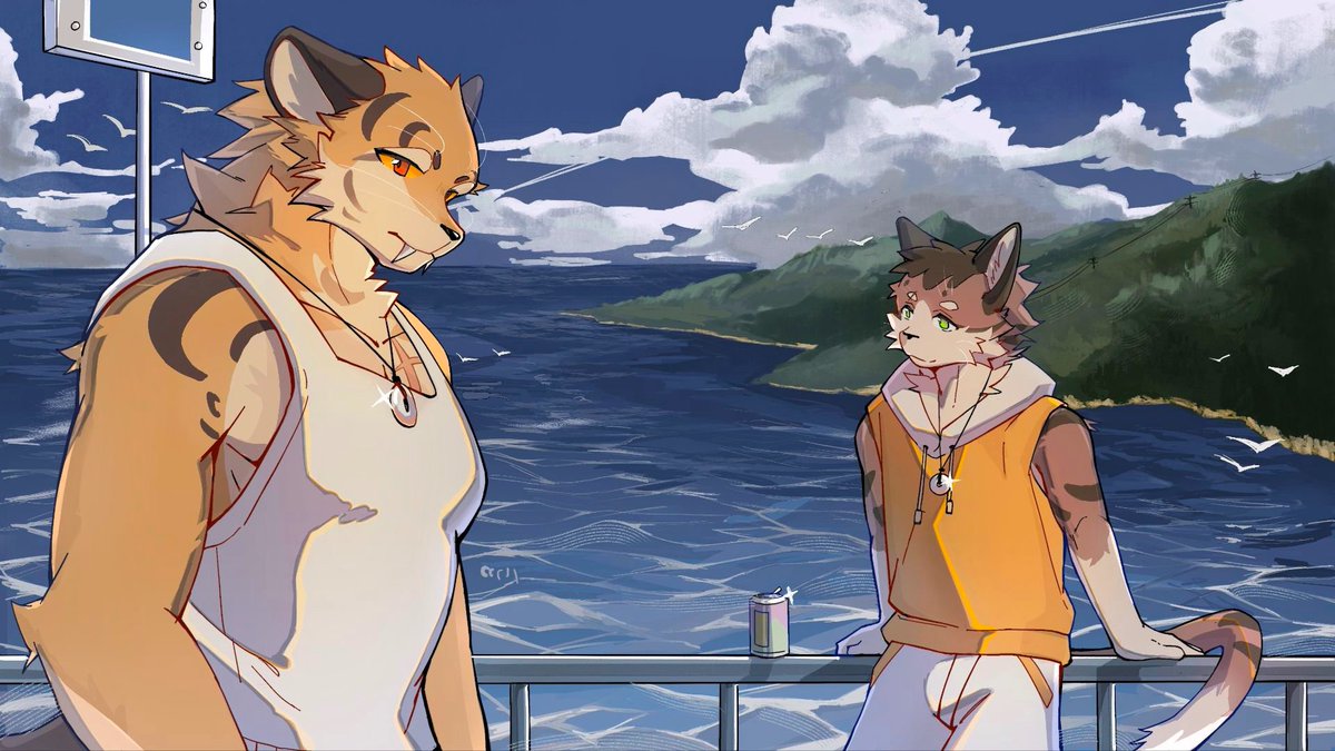 嵇乌ovo tweet media