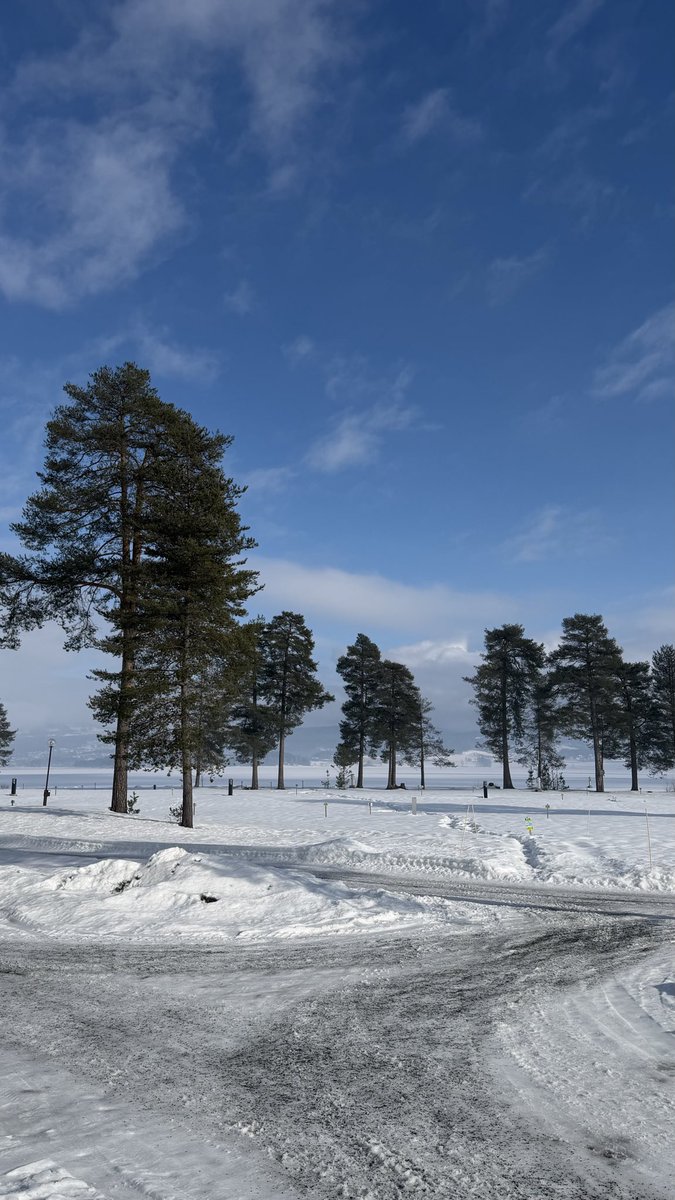 Orla Joelsen tweet media