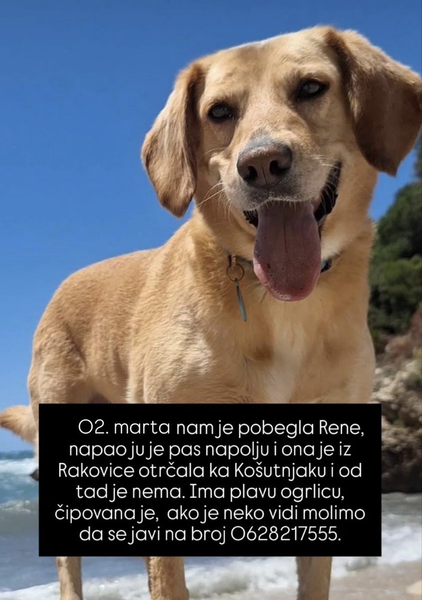 Pre dva dana je viđena na Banovom Brdu, ali i dalje je nema