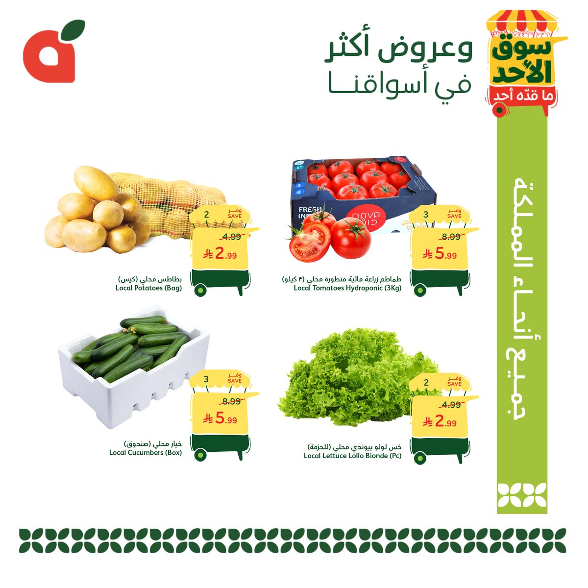 pandasaudi tweet media