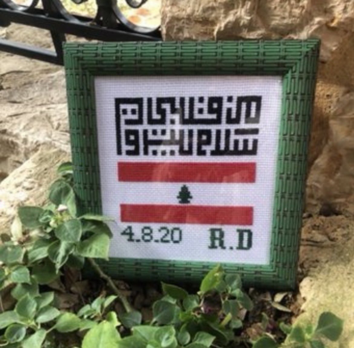 Rabiaa Daou tweet media