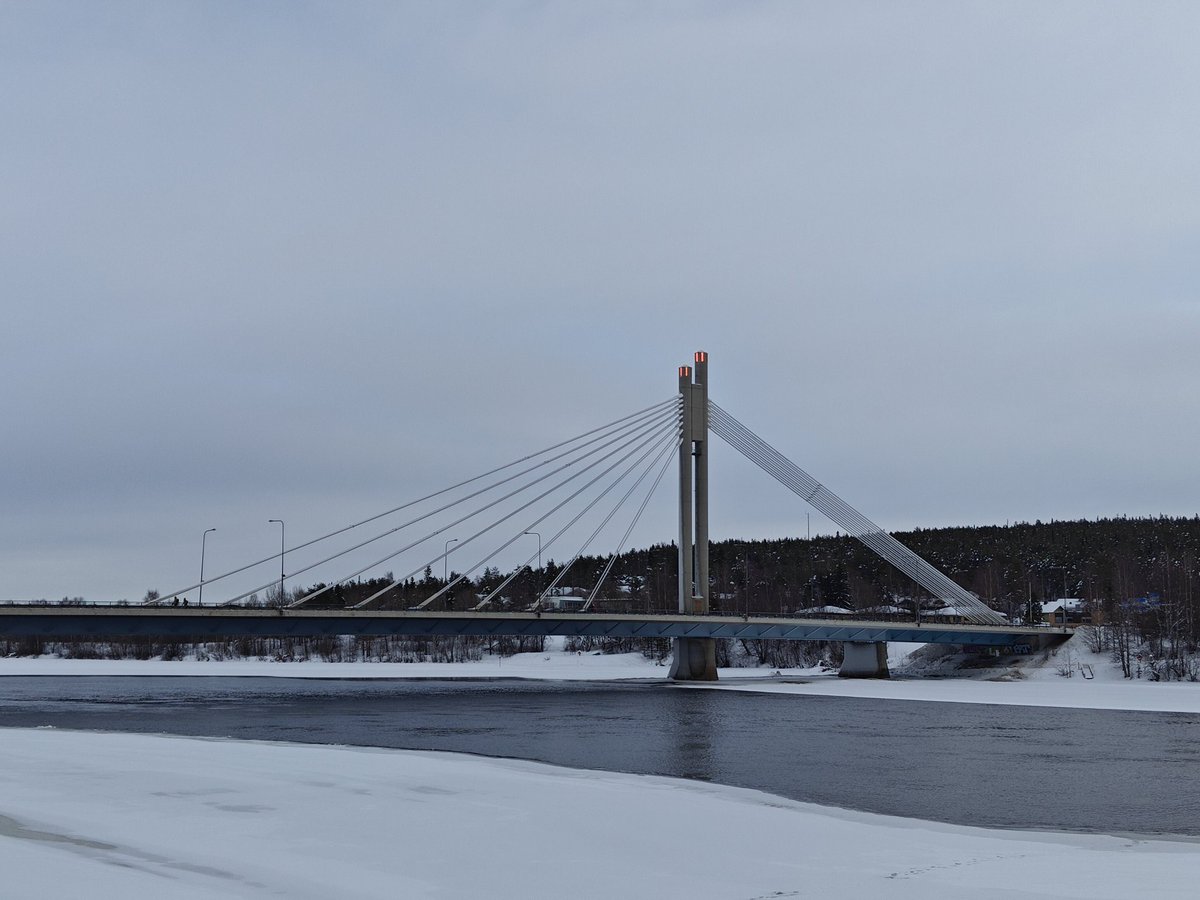 Merja Niemelä tweet media