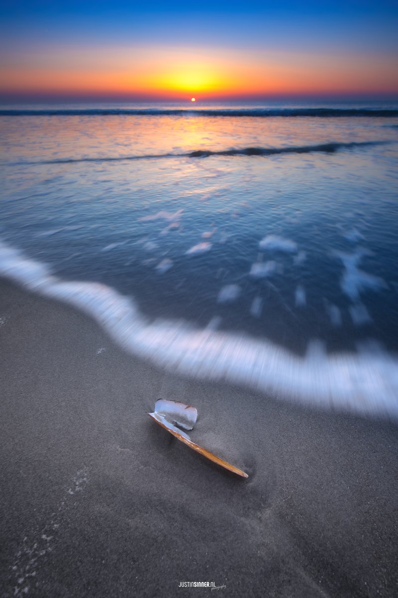 Justin Sinner Photography tweet media