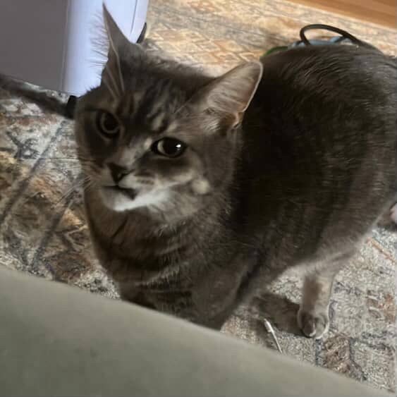 Secondieme tweet media