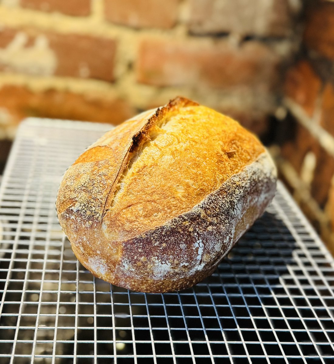 Strawknee tweet media