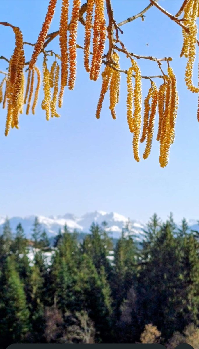 Le "cose" durano se
 te ne prendi cura.💙

Buongiorno  e buon sabato a bella gente...❤️