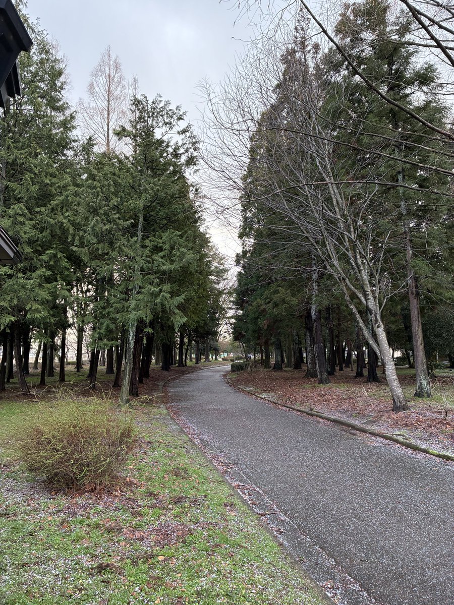 jogginist's tweet image. 3/1〜7ラン記録
今朝はparkrunに初参加
久しぶりの本気ラン
後半バテバテでしたがよい雰囲気の中走ることができました！
リピ決定！！

#朝ラン
#parkrun