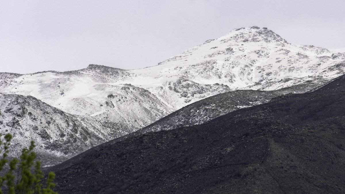 Javier Lumeras tweet media