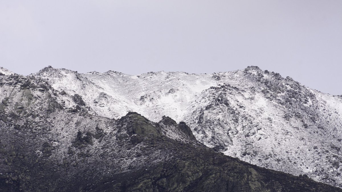 Javier Lumeras tweet media