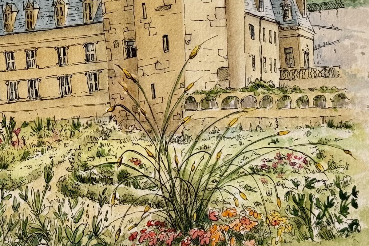 cado's tweet photo. vacation impressions 2025: #villandry #valdeloire #france 
Instag: @evaonirica @cadoeva - #porto #portugal
.
winter Março 2026
.
#art #drawing #watercolor #architecture #paint #artwork #illustration https://t.co/wDPZGmunBY